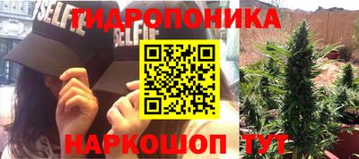 стаф Кулебаки