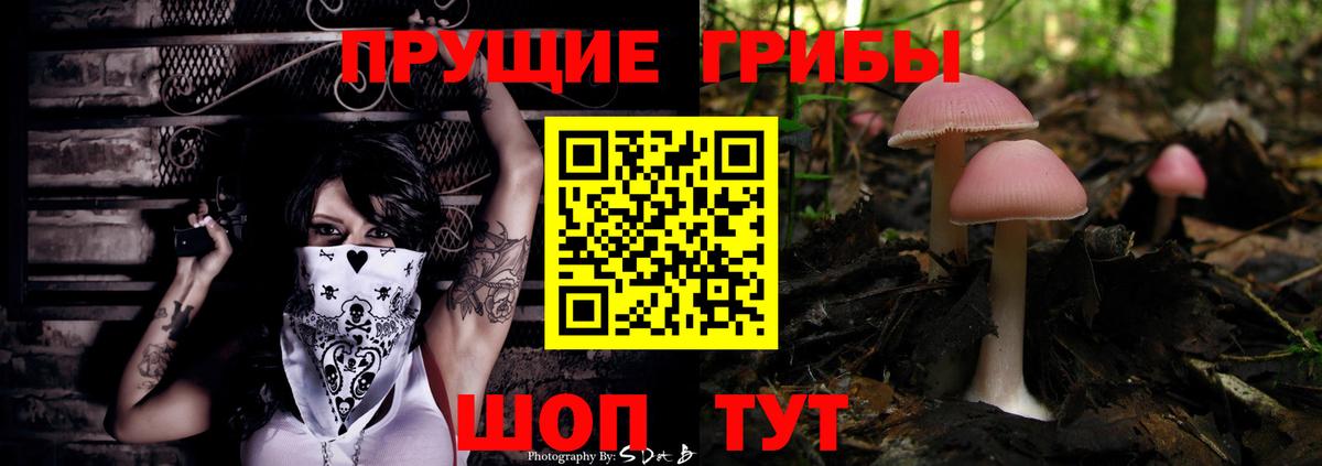Аша  Галлюциногенные грибы Magic Shrooms  дарнет шоп  Вход с VPN 
