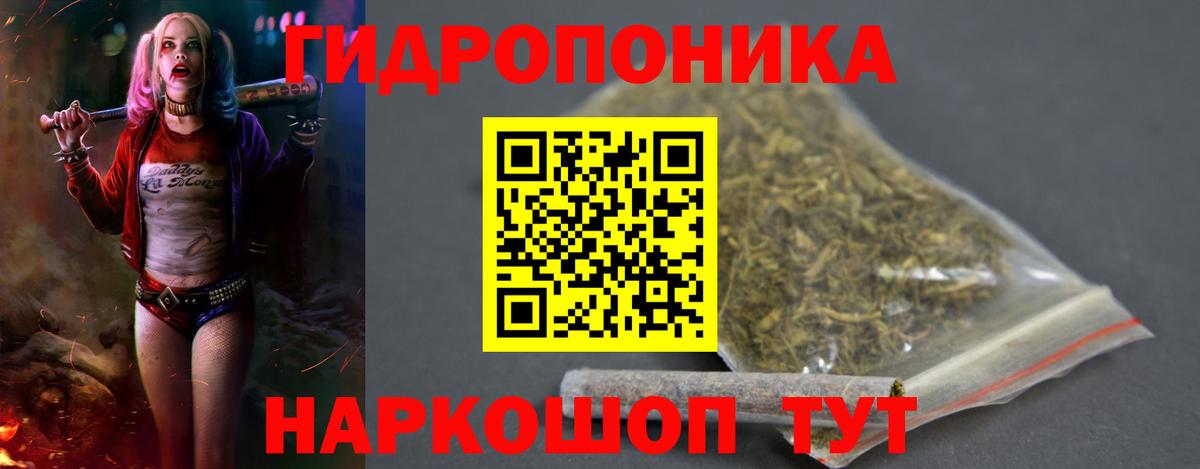 Каннабис гибрид Аша